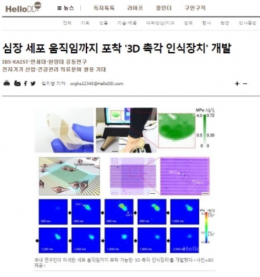 헬로디디: 심장 세포 움직임까지 포착 '3D 촉각 인식장치' 개발