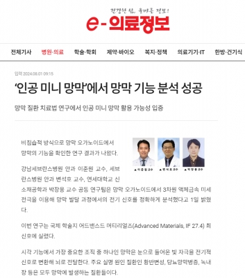 ‘인공 미니 망막’에서 망막 기능 분석 성공