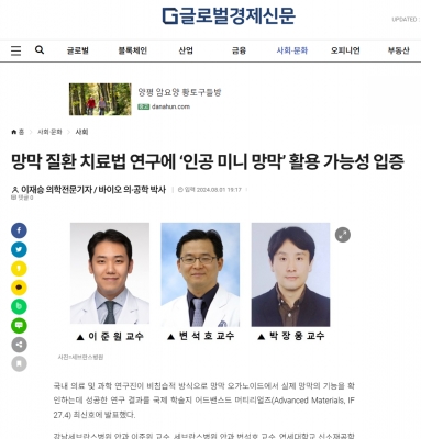 망막 질환 치료법 연구에 ‘인공 미니 망막’ 활용 가능성 입증