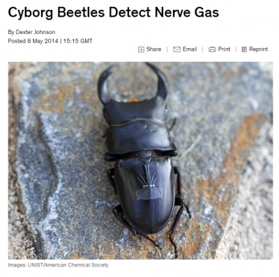 미국 'IEEE Spectrum'에 연구결과 소개 ('Cyborg Beetles Detect Nerve Gas')		