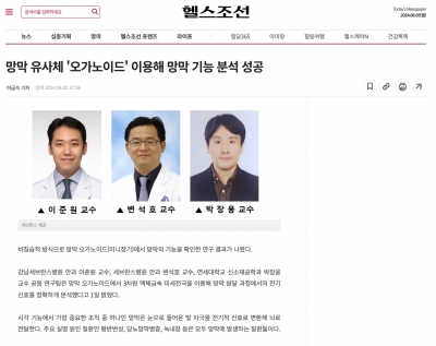 망막 유사체 '오가노이드' 이용해 망막 기능 분석 성공