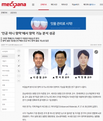 '인공 미니 망막'에서 망막 기능 분석 성공