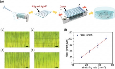 미국 'Nanowerk News'에 연구결과 소개 ('Highly sensitive nanofiber-embedded touchscreens')