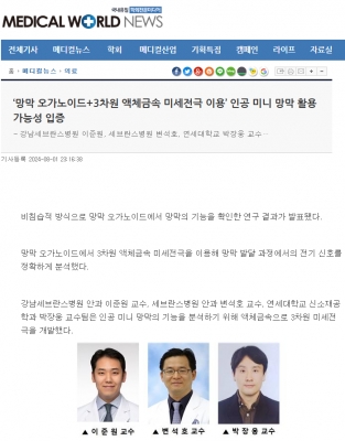 ‘망막 오가노이드+3차원 액체금속 미세전극 이용’ 인공 미니 망막 활용 가능성 입증